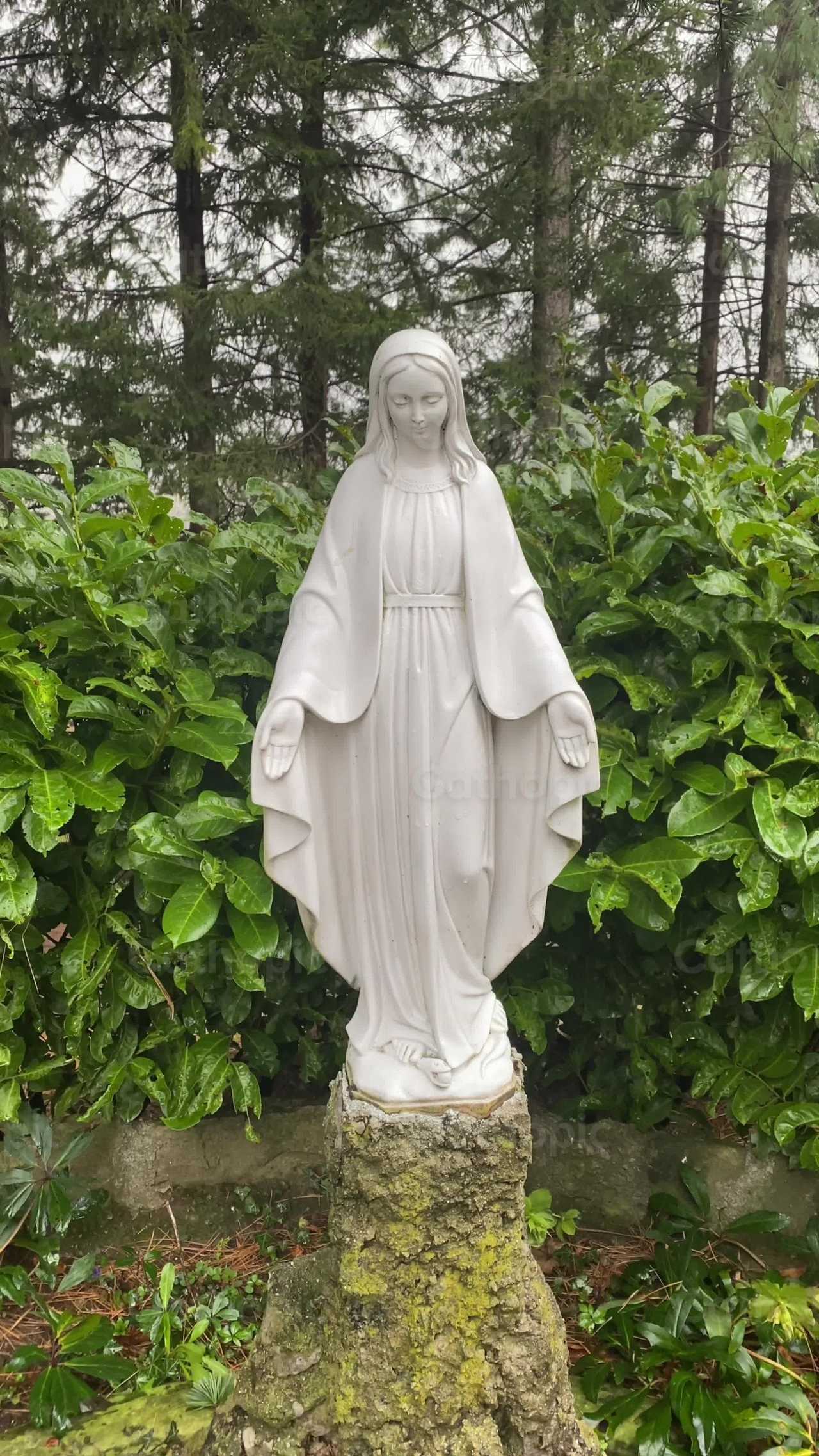 Estatua de la Virgen Maria - Banco de vídeos católicos