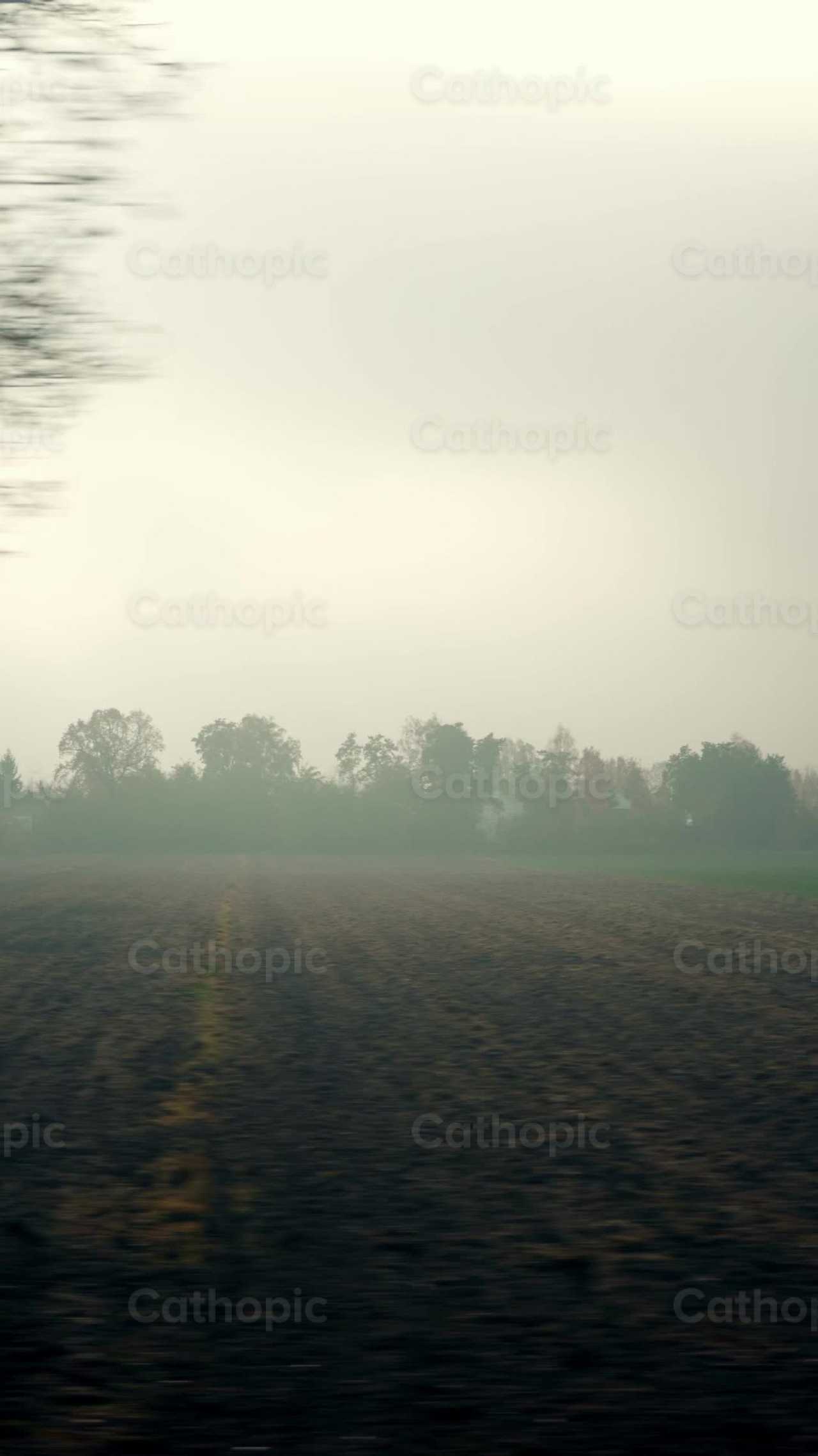 Paisaje - Banco de vídeos católicos - Fotografía por Lupe Belmonte