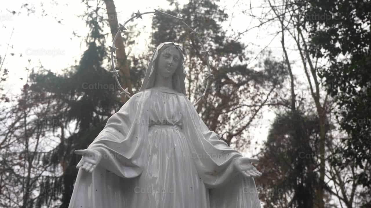 Virgen María - Banco de vídeos católicos - Fotografía por Lupe Belmonte