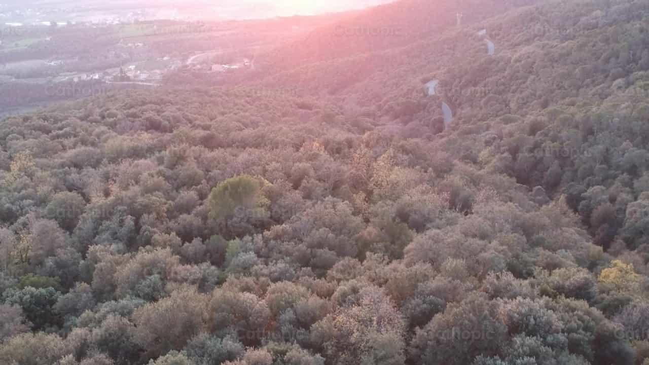 Paisagem - Vídeos católicos de stock