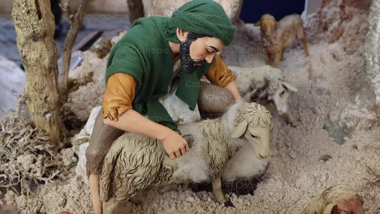 牧人和羊群 - 天主教素材视频 - 摄影： Frames Cristianos