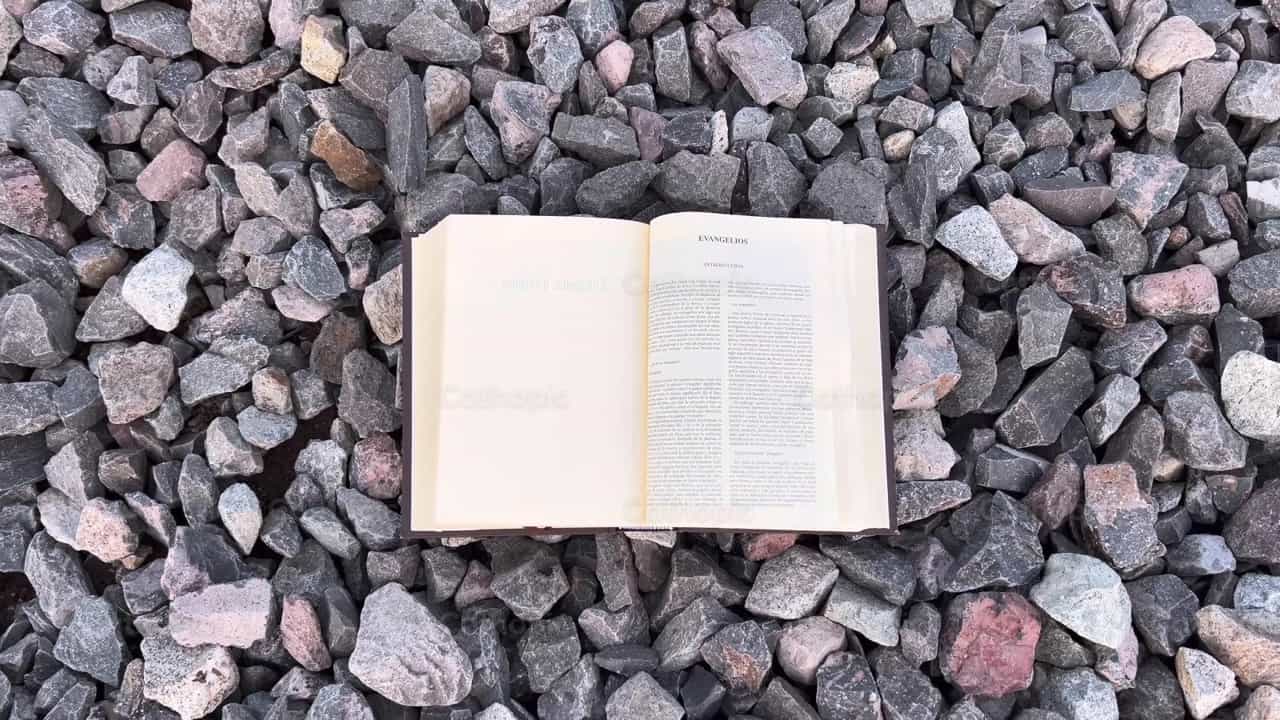 Biblie - Catholic stock videos