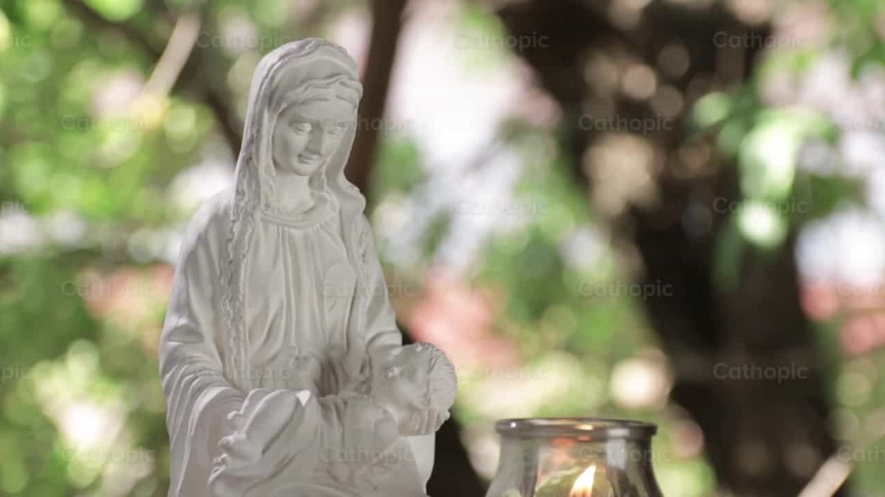 Natividad del Señor - Banco de vídeos católicos - Fotografía por Adrian Varela