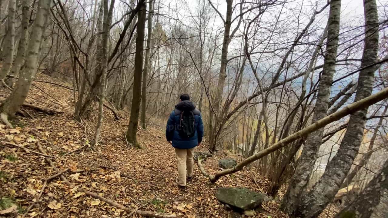 Walking in the forest - Catholic stock videos - Photo by Saul Ibarra