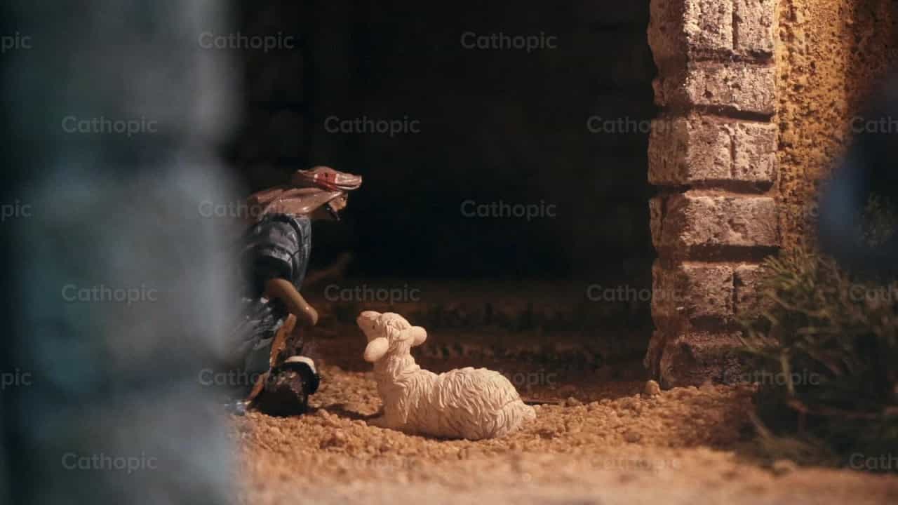 Pastor y oveja - Banco de vídeos católicos