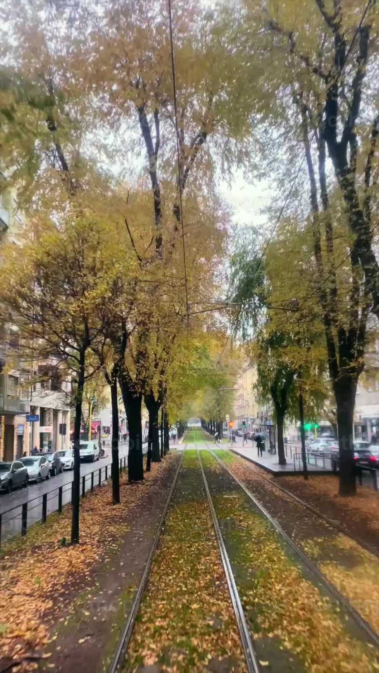Train tracks - Catholic stock videos - Photo by Saul Ibarra