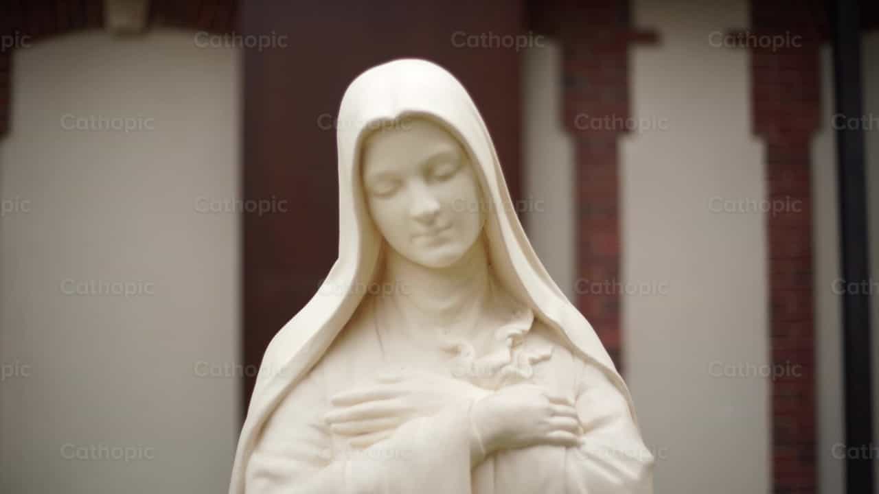 Sainte Thérèse de Lisieux - Vidéos catholiques de stock - Photo de Lupe Belmonte