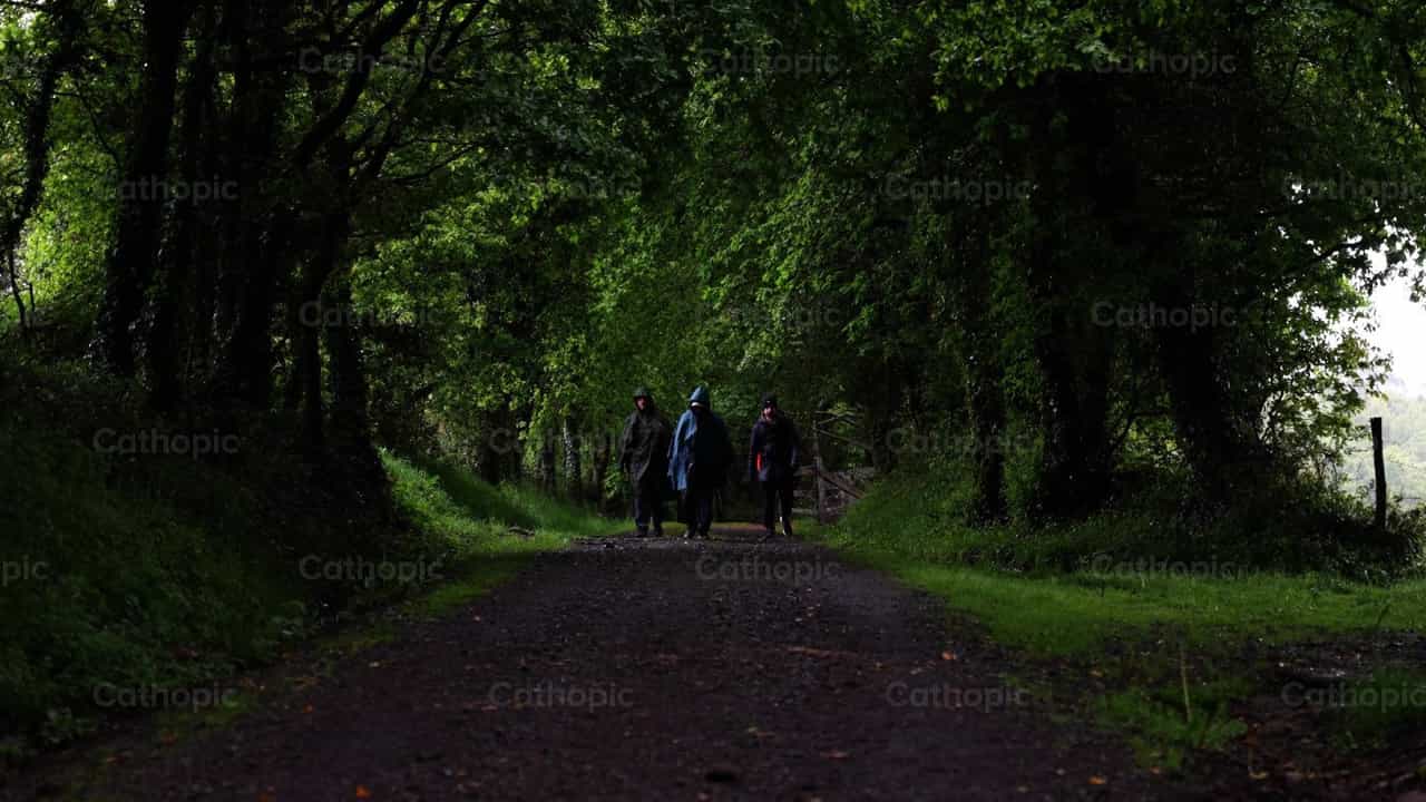Jóvenes caminando por el bosque - Banco de vídeos católicos