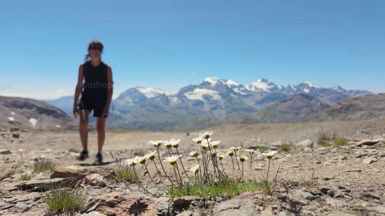 Primer plano de flores silvestres con una mujer desenfocada caminando - Banco de vídeos católicos - Fotografía por Michelangelo Oprandi