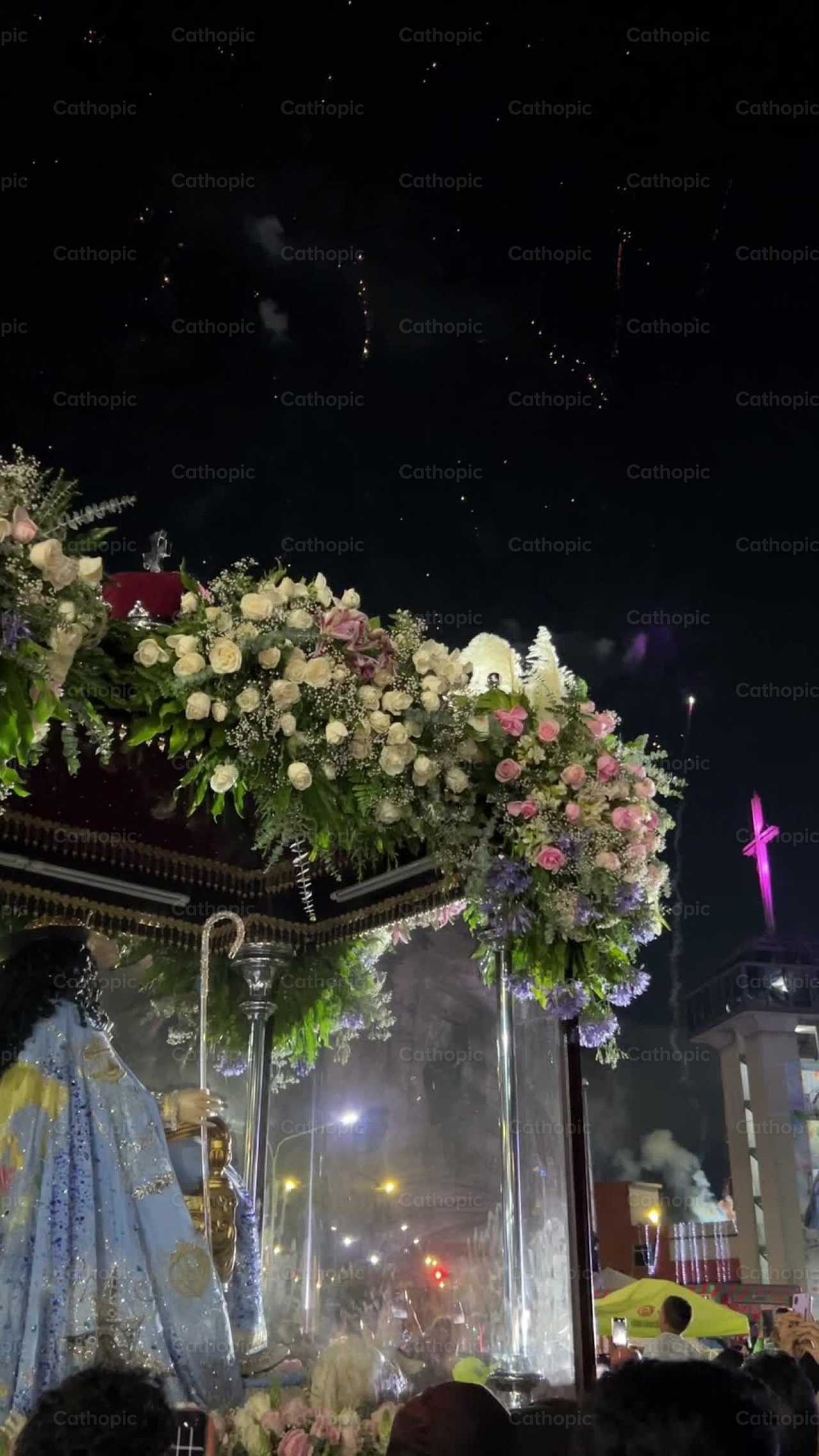 Ankunft der göttlichen Hirtin, der Mutter - Katholische Stock-Videos - Foto von Miguel White
