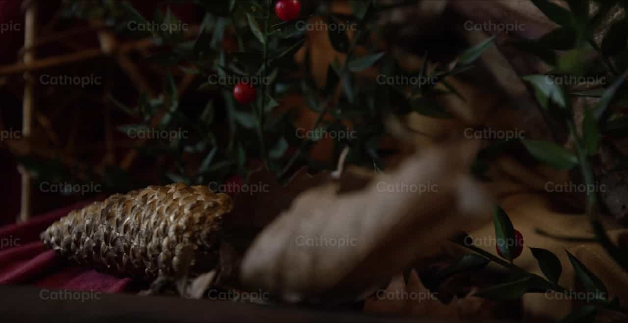 Belén - Banco de vídeos católicos - Fotografía por Catholic Stuff