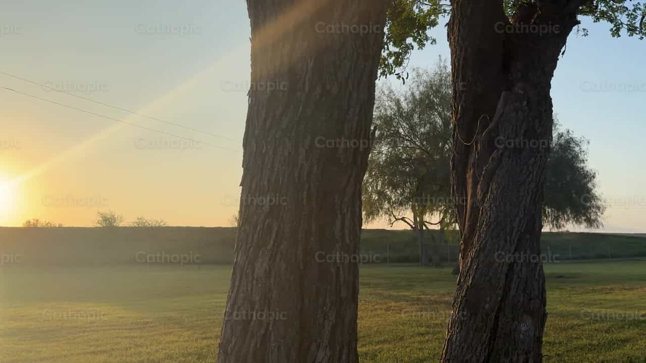 Sol del amanecer - Banco de vídeos católicos