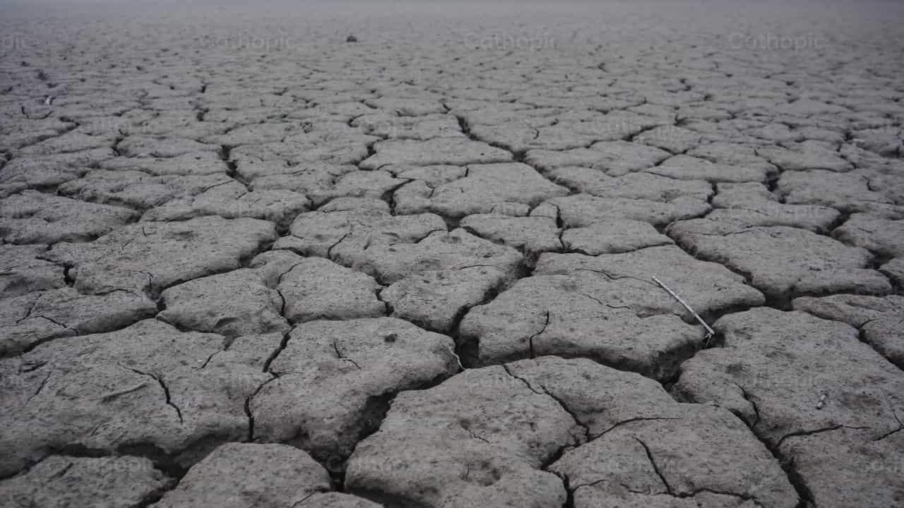 Drought - Catholic stock videos