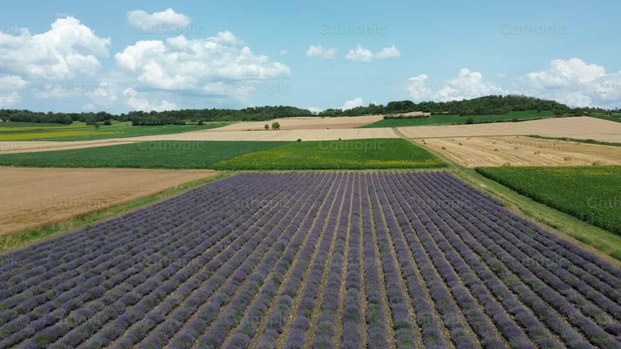 Campo - Banco de vídeos católicos - Fotografía por Saul Ibarra