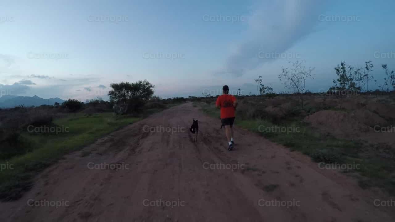 Corriendo con el perro - Banco de vídeos católicos
