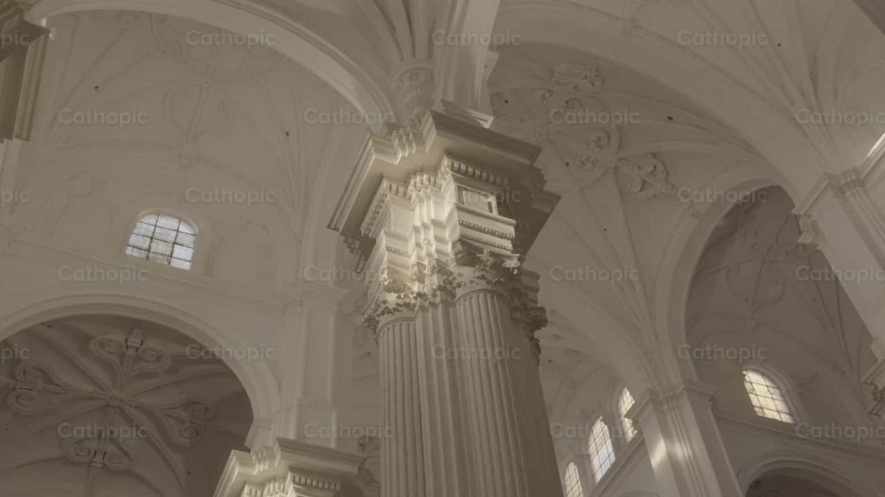 Cathedral Vaults and Columns | Cathopic