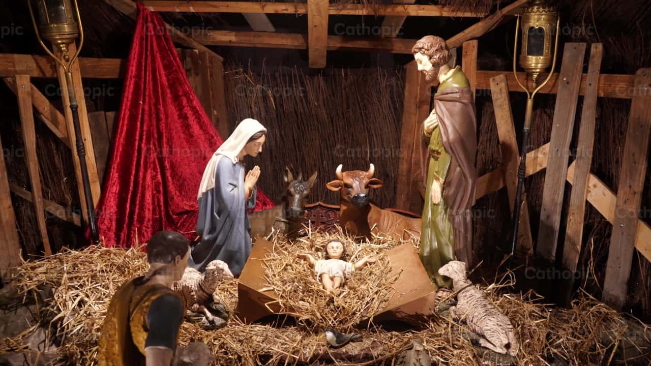 Nativity | Cathopic