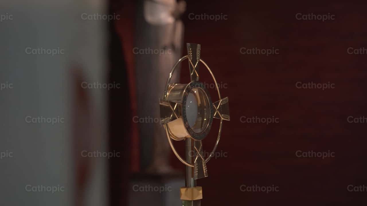 Header background video