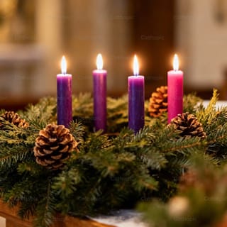 Fotos