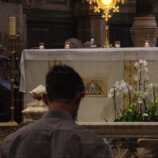Videos