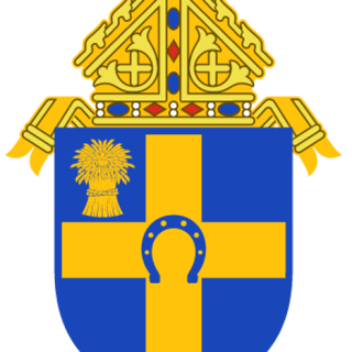 dioceseoffargo 的头像
