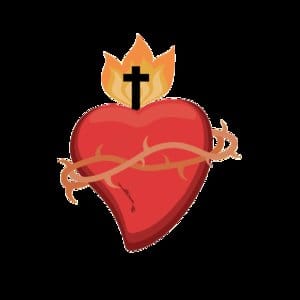 Avatar de quinn