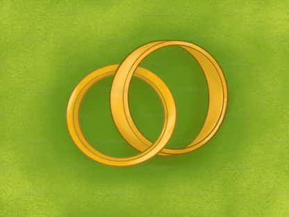 Wedding rings green screen | Beachweddingtips.com