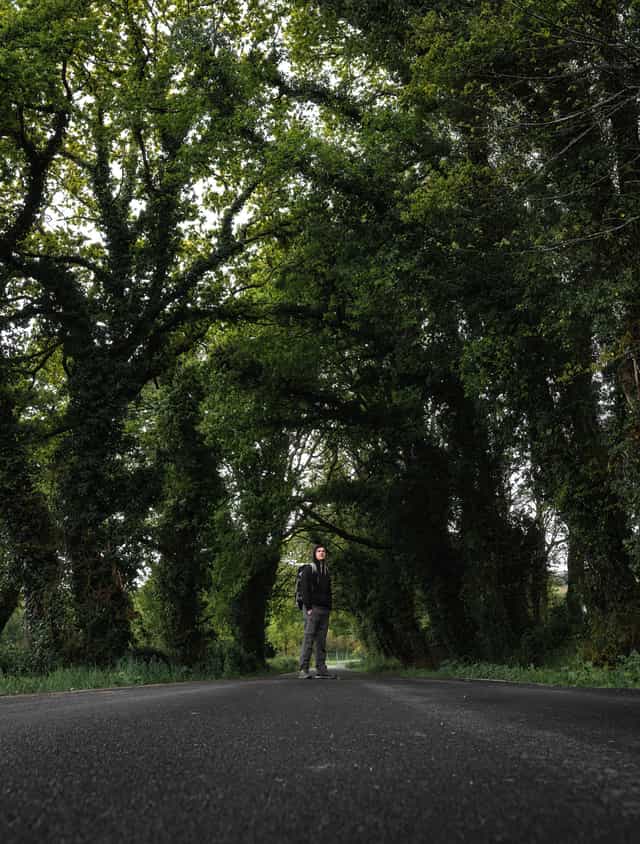 Jeune homme marchant dans la forêt - Images catholiques de stock