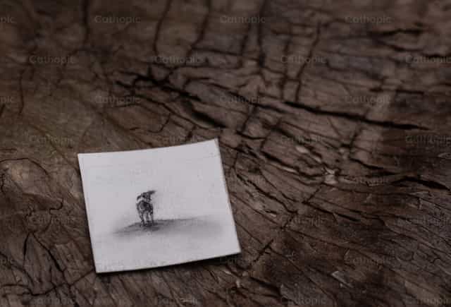 Drawing of a sheep - Catholic stock images - Photo by Carolina BR