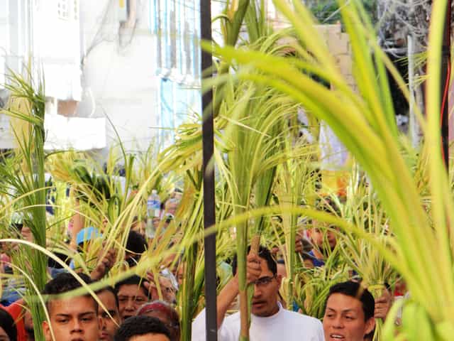Palmzondag in Tegucigalpa - Katholieke stockfoto's