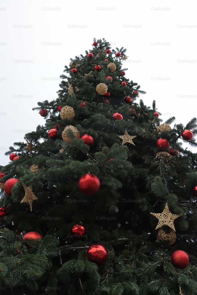 Arbol de Navidad - Banco de imágenes católicas - Fotografía por Frames Cristianos