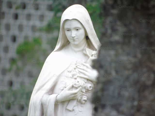 Sainte Thérèse de Lisieux - Images catholiques de stock