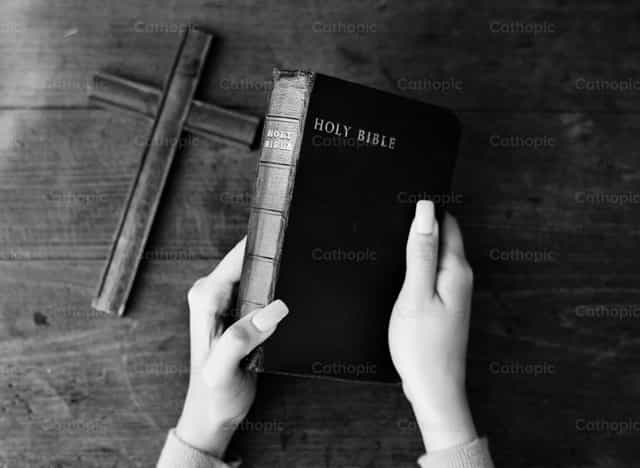 Manos femeninas sosteniendo la Biblia - Banco de imágenes católicas