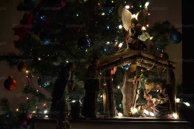 Pesebre debajo del arbol - Banco de imágenes católicas