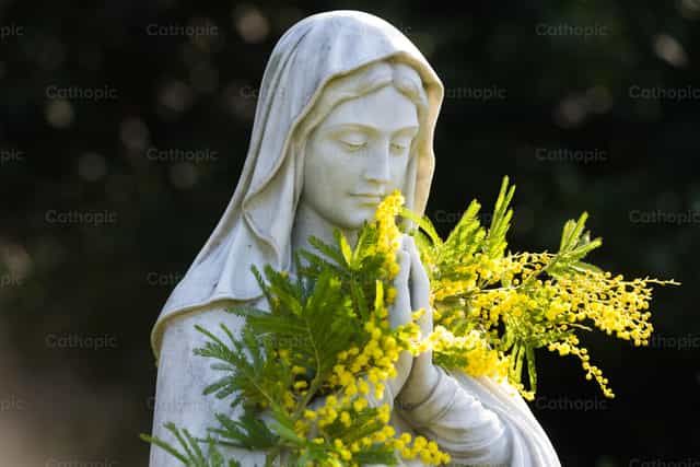 Virgen María, intercede por tus hijos - Banco de imágenes católicas - Fotografía por Patricio Bringas Iturrioz, LC