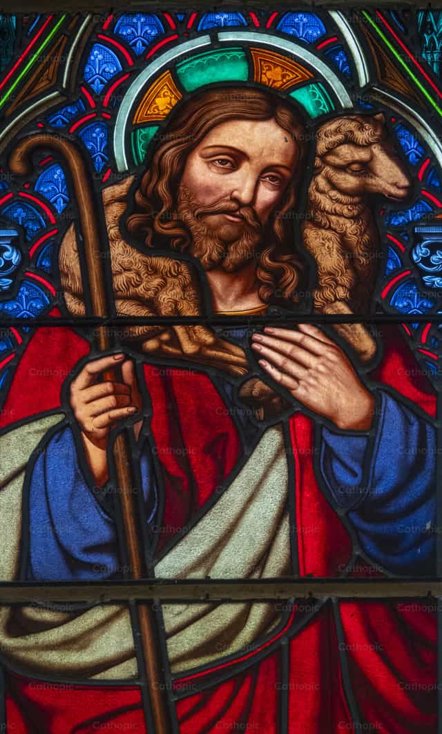 Vidriera que representa a Jesús como el Buen Pastor - Banco de imágenes católicas - Fotografía por Joan Sutter