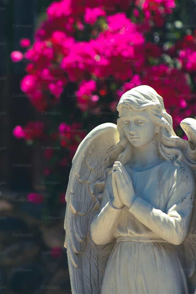 Angel y Buganbilias - Banco de imágenes católicas - Fotografía por Benjamín Dominguez