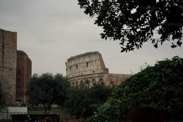 Coliseo Romano - Banco de imágenes católicas - Fotografía por Lupe Belmonte