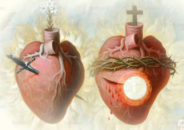 Sagrados corazones de Jesús y Maria - Banco de imágenes católicas - Fotografía por Cathopic