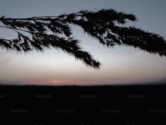 Punte nel tramonto - Immagini stock cattoliche