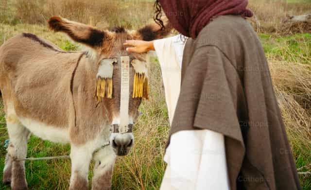 Jezus en de ezel - Katholieke stockfoto's