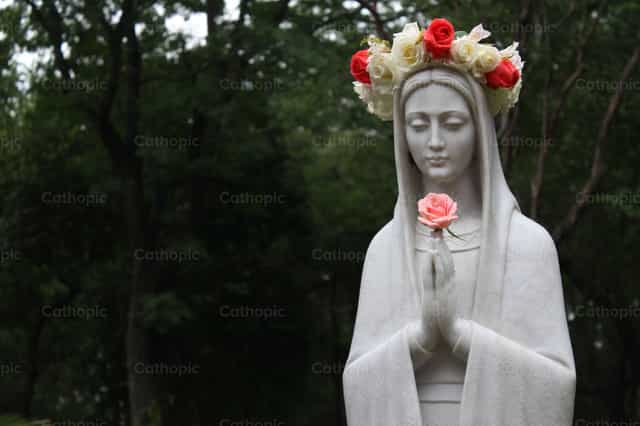 Mary intervenes for us - Catholic stock images