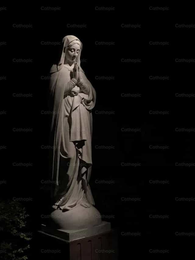 María tú vienes a mí - Banco de imágenes católicas
