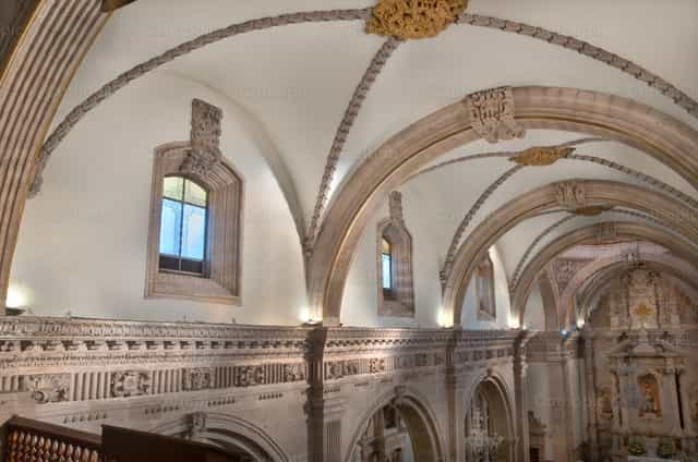 Boveda de Catedral - Banco de imágenes católicas