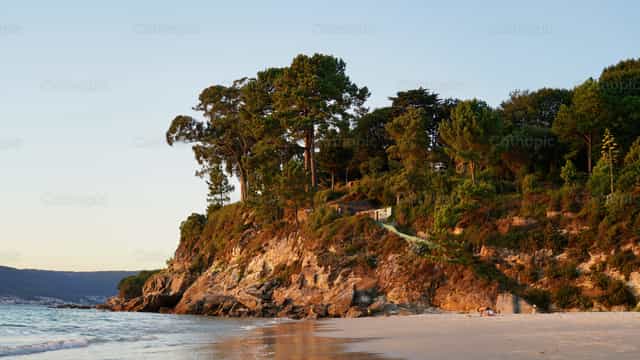 Natureza na praia - Imagens católicas de stock