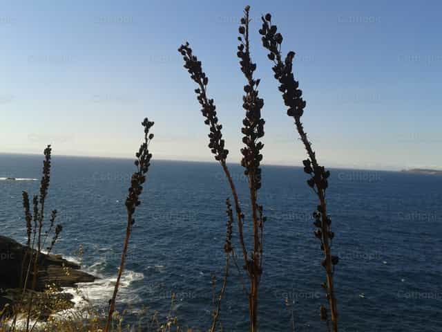 Paisaje del Mar - Banco de imágenes católicas