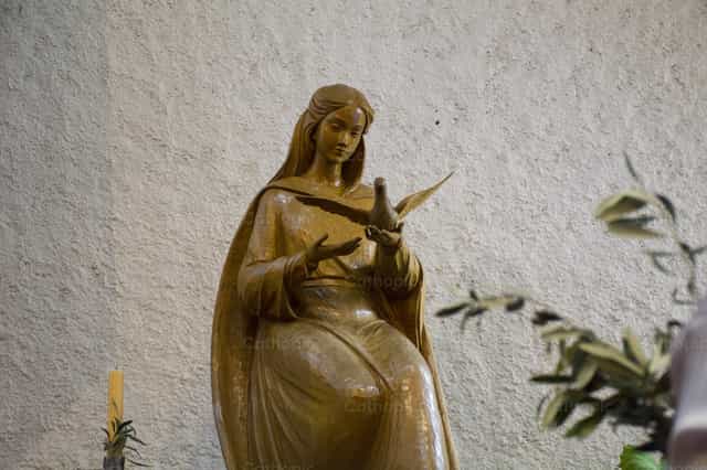 María con una Paloma - Banco de imágenes católicas