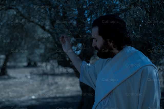 Jesus in the garden of Gethsemane - Banco de imágenes católicas - Fotografía por Cathopic