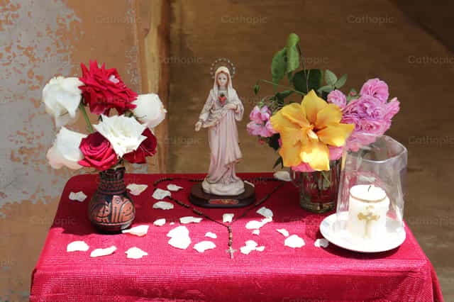 Rosas para María - Banco de imágenes católicas - Fotografía por karsten