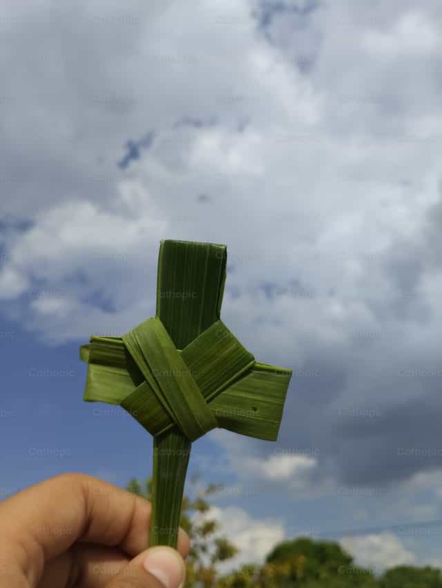 Cruz de Palma - Banco de imágenes católicas